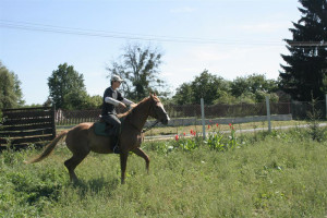 Lovaglás - Faluvégi Vendégház, Mándok