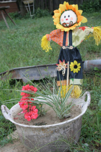 A Faluvégi Vendégház udvara (Mándok)