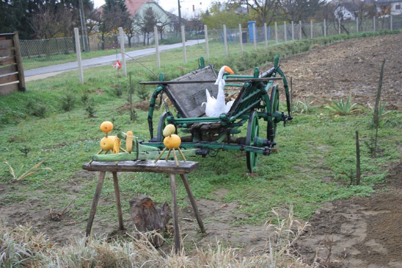 A Faluvégi Vendégház udvara (Mándok)