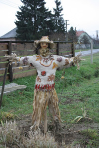 A Faluvégi Vendégház udvara (Mándok)