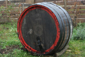 A Faluvégi Vendégház udvara (Mándok)