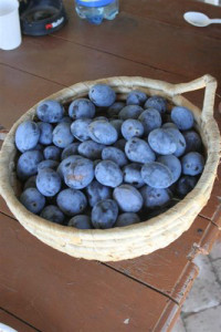 Szilvalekvárfőzés, Faluvégi Vendégház - Mándok